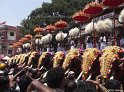 thrissur-pooram-2013-0 (9)